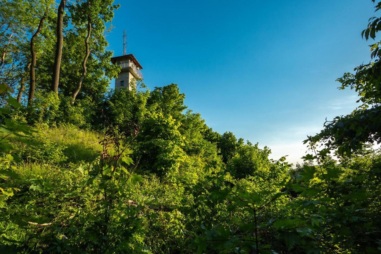 Penzion Na Grunte Hotel Vranov Exterior photo